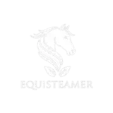 Equisteamer Logo
